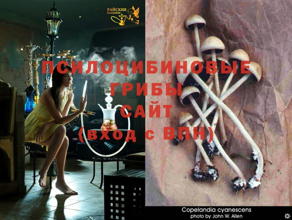 кокаин VHQ Карталы
