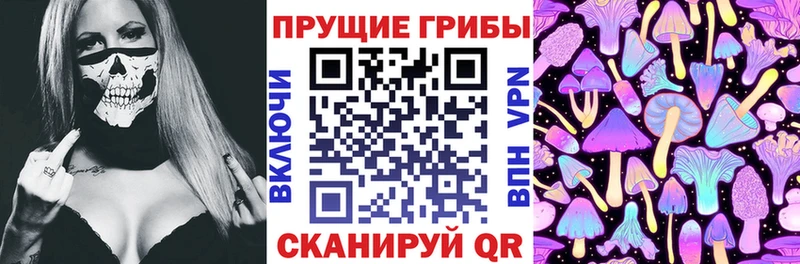 Купить  Гдов  Галлюциногенные грибы Psilocybine cubensis 