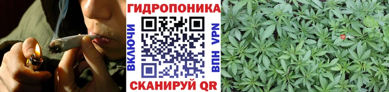 Бошки марихуана семена  Купить закладки  Гдов 